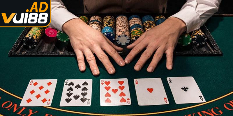 Hướng dẫn xác định chất chủ