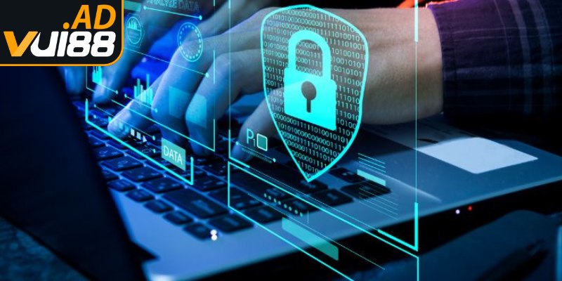 Tổng quan chính sách bảo mật đảm bảo thông tin được mã hóa