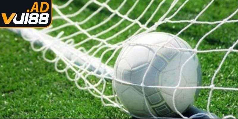 Khái niệm về kèo 1/2 Vui88 