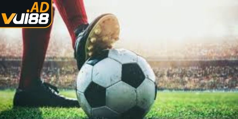 Phân tích kèo Handicap  hiệu quả dễ hiểu