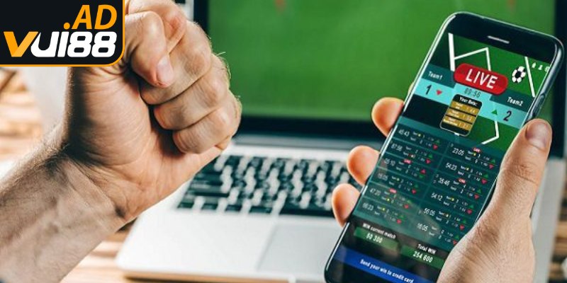 Kèo nhà cái VUI88 là tỷ lệ cược do chuyên trang cung cấp