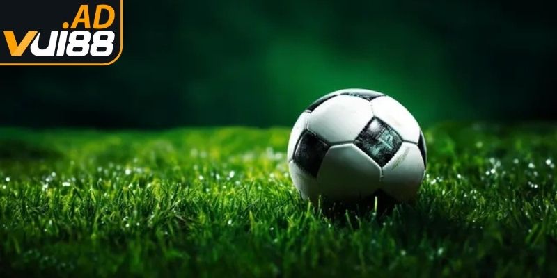 Kinh nghiệm đọc kèo hiệu quả nhất